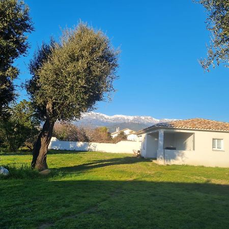 Location "Casa Monna" Apartment Prunelli-di-Fiumorbo Exterior foto
