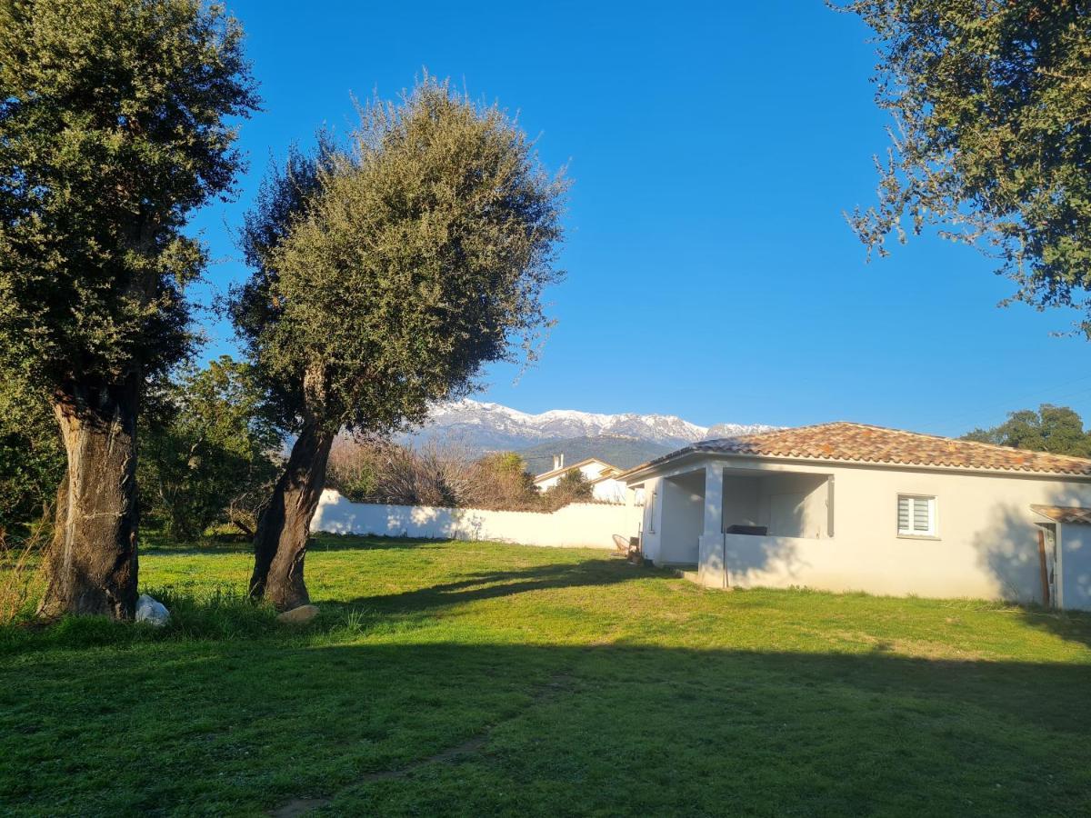 Location "Casa Monna" Apartment Prunelli-di-Fiumorbo Exterior foto